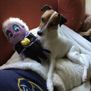 Meet your Posher, Amanda